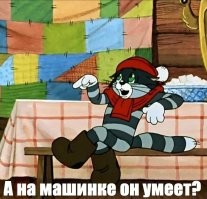 Кот показывает опыты по физике