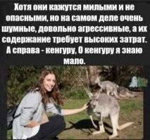 Шутки бывают разные