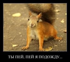 Мужчина завёл «демонов» в подъезд