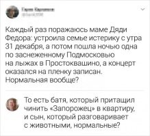 То есть квартира с комнатой, куда можно втащить запорожец, причём не у миллионеров, никого здесь не напрягает. Я уж молчу о загородной секретной базе с говорящими (и разумными) животными. С крайне подозрительным почтальоном, вызывающим воспоминания о НКВД