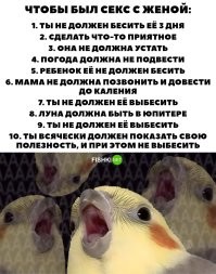 Где вы таких женщин берёте? Никогда не приходилось уговаривать свою женщину на секс, в том числе жену. И никогда не понимал шуток на тему "голова болит".