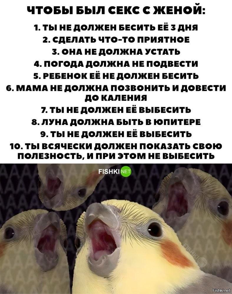 Где вы таких женщин берёте? Никогда не приходилось уговаривать свою женщину на секс, в том числе жену. И никогда не понимал шуток на тему "голова болит".