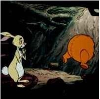 Чуть не повторил "подвиг" Винни Пуха...