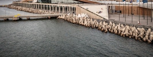 Всю жизнь живу у моря, но не знал как они называются.
У нас много где есть.