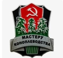 Начальник отдела семеноводства Минсельхоза Свердловской области организовал плантацию конопли
