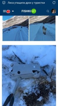 Они начали бороться!
