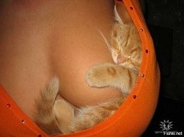 Уютная "коробочка"!