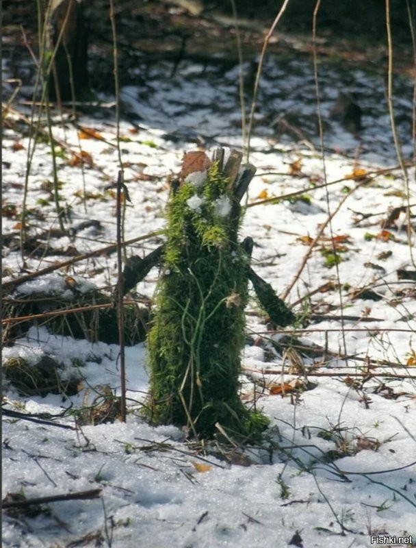 Ух ты, точно) дело к весне