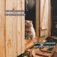 В Дагестане отчаянная брюнетка полезла в яму с фекалиями, чтобы достать упавший айфон