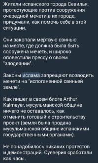 Толпа иноземцев напала на активиста, выступавшего против строительства мечети в Москве
