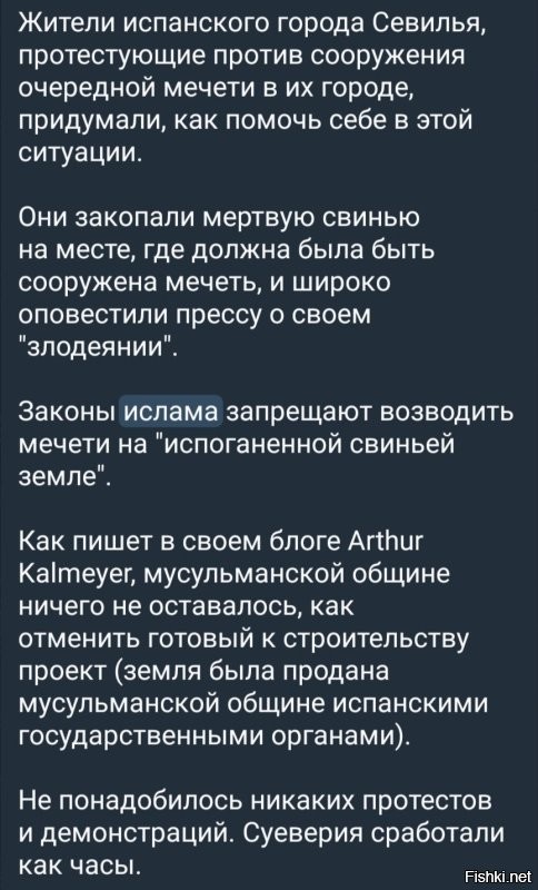 Толпа иноземцев напала на активиста, выступавшего против строительства мечети в Москве