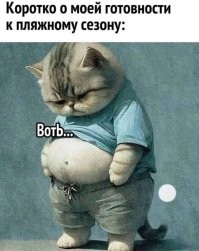 В Госдуме предложили признать идеологию бодипозитива нежелательной