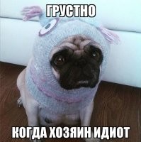 Хозяин "сломал" собаку
