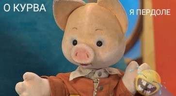 Встреча поляка с нутрией