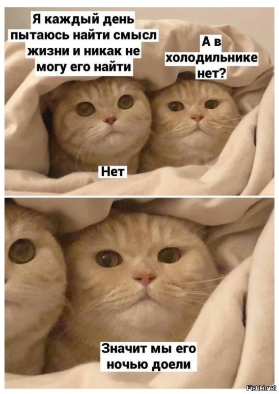 Доброе утро