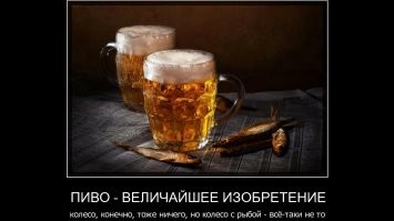 Не ищите здесь смысл. Здесь в основном маразм