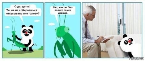 Кем питаются богомолы (16+)