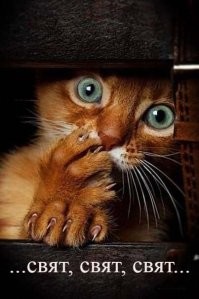 Мужчина доказал, что люди, которые говорили, что он не найдет любовь, ошибались