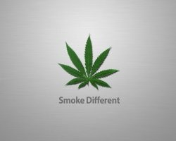 обойка на винды была такая