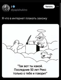 Собака принесла к ветеринарам своего умирающего щенка