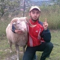 Межвидовые