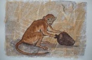 Не в деньги, а в ширку. У ниггеров на многоходовку мозгов не хватает. Тут вчера видос был, как обезьяна шуруповёрты пи*здит. А они тросиками пристёгнуты. Пойди, возьми какой болторез в том же магазине и перекуси эти тросики. Них*уя. Дёргал и пытался порвать. Напомнило, как макак на апельсин в ящике ловят. Отверстие чуть меньше, чем апельсин. Микрониггер суёт цурупало, хвать! А вытащить не может. Мозгов на то, чтобы бросить фрукт не хватает. Крутится, визжит, но не бросает. Так их и ловят. Я вот удивляюсь, почему в пиндостане так ниггеров не отлавливают?