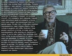 Любовная драма закончилась убийством