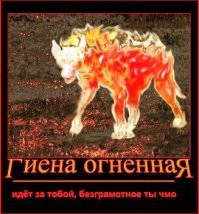 Не ищите здесь смысл. Здесь в основном маразм
