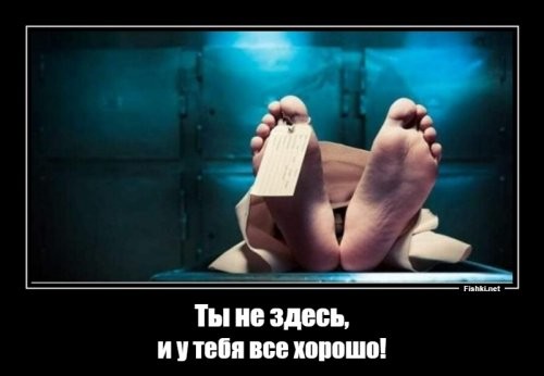 Большая порция улыбатора