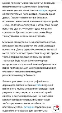 Если история реальность, то кот сыт. Ютуб нет смысла подтягивать, так что вот.