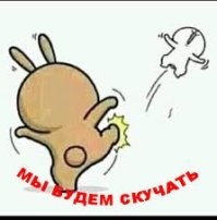 По результатам рейда в столичном ТЦ на родину отправятся 426 мигрантов