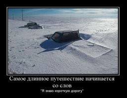 Прикольные разные картинки