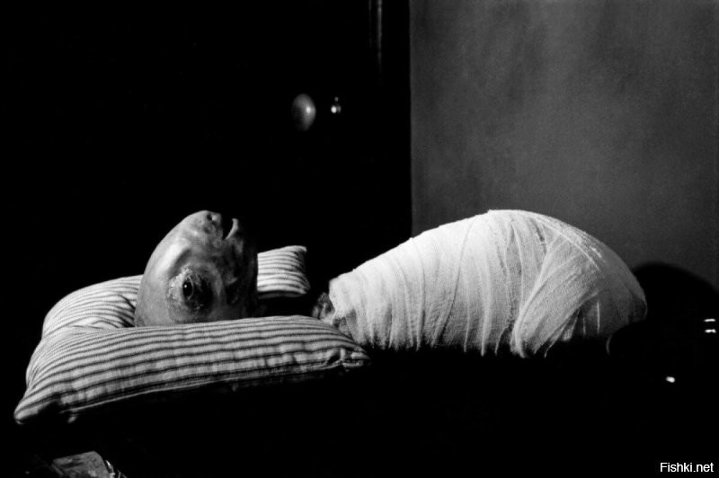 Думаю многие такого Линча и не видели The Alphabet (1969), Dead Mouse with Ants (2002),  The Pig Walks (2002), The Grandmother (1970),  «Шесть блюющих мужчин» / Six Men Getting Sick (анимационный короткометражный фильм, 1966) / «Пьер и Сонни Джим» / Pierre and Sonny Jim (анимационный короткометражный фильм, 2001, )«Человек-слон»
Кстате сюжет "Бабушки" )) -  В фильме рассказывается история мальчика, который выращивает бабушку из зерна, чтобы та спасла его от деспотичных родителей.