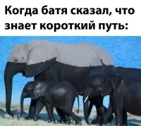 Им не страшно, они с завода оборудованы шноркелями.