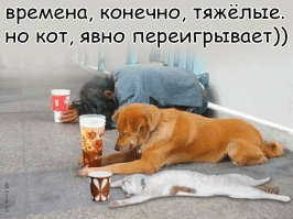 Прикольные разные картинки