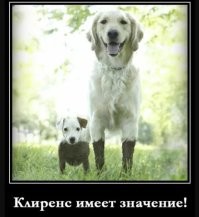 Прикольные разные картинки