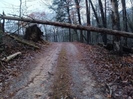 Делов то, 5ть минут топором помахать, и да, если живешь в такои местности в машине априори должен лежать топор
