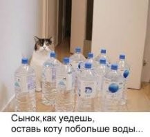 Большая порция улыбатора