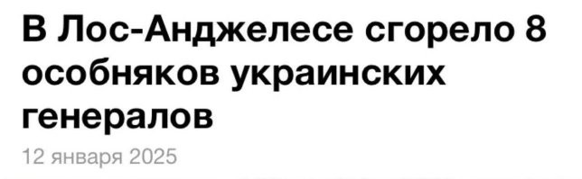 Псу не удалось незаметно стащить еду