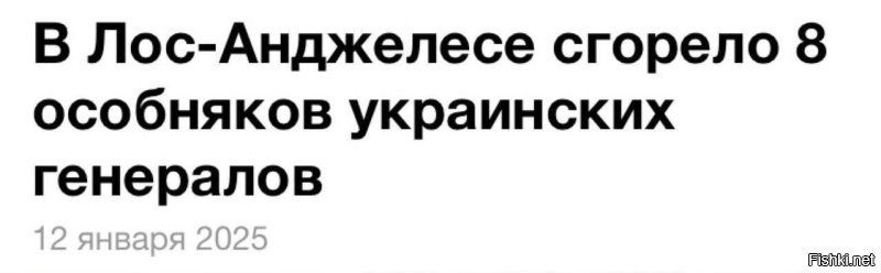 Псу не удалось незаметно стащить еду