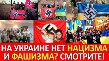 Среди свалки нацистам и самое место.