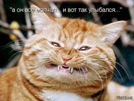Пес жрет, а кот в это время: