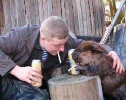 Да не слушай их, бобер, ты не курва, ты нормальный мужик!
