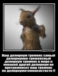 У "оператора" по ходу трясучка? 
Ни секунды телефон ровно держать не может?

.