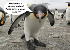 &nbsp;Намешалось&nbsp;