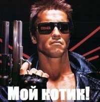 Пушистый разрушитель