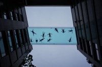 Как мотыльки в плафоне...