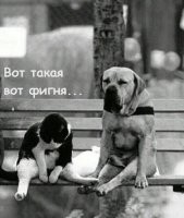 И пёс такой: пу-пу-пууу....