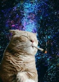 За полчаса до этого: