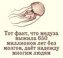 План был хороший, но не сработал